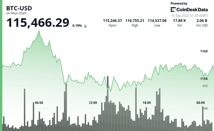 Fragility or Back on Track? BTC Holds the Line at $115K